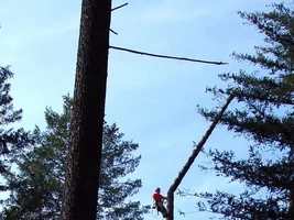 4165-flippimg 16 footers.webp