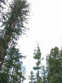 4876-Resize of IMG_0763.webp