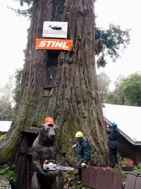 4878-Resize of Resize of IMG_0809.webp