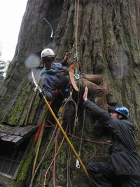 4879-Resize of IMG_0812.webp