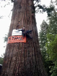 4880-Resize of Resize of IMG_0817.webp