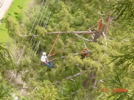 4883-Treehouse 048_WEB.webp