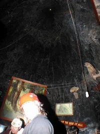 4898-Resize of IMG_0796.webp