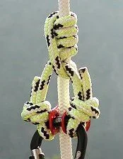 4942-Sergio's distel hitch.webp