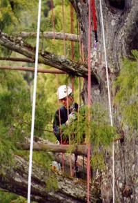 5466-JesseBawcum looking left.webp