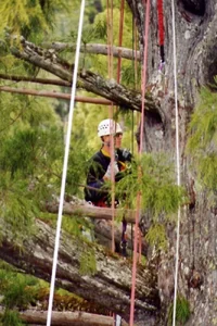 5467-JesseBawcum looking right.webp