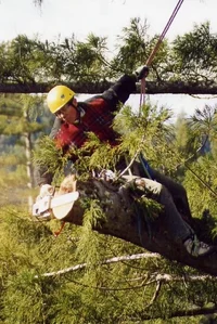 5469-Dan....can you say HEADACHE!.webp