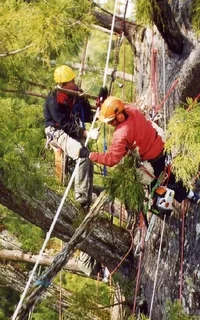 5470-James and Dan, teamwork.webp