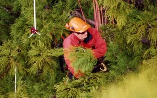 5575-James Piercy in the jungle.webp