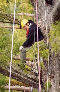 5578-Dan resting.webp