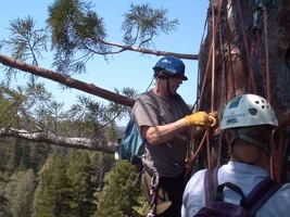 5590-Treehouse2 025web.webp