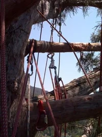 5592-Treehouse2 016web.webp