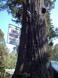 5601-Treehouse2 032 webEric.webp