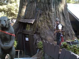 5607-Treehouse2 034 webEric small.webp