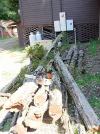 5649-The final deadwood.webp