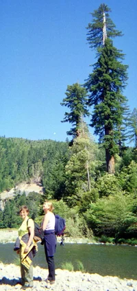 5922-Lene & Ulla w-trees in background.webp