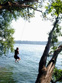 6414-Lake Wa Swingin'.webp