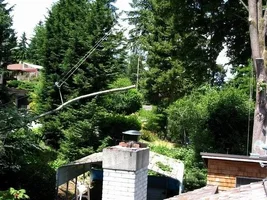 6472-Kenyon Maple10w.webp