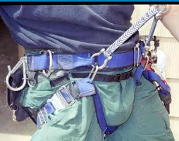 6614-TTD alternate bridge.webp