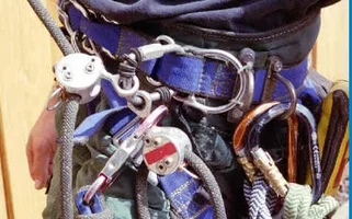 6633-DEDA and B'fly wings.webp