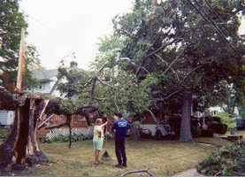 2948-storm2002-oak1.webp