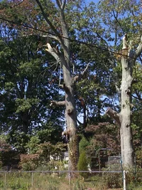 6868-Crappy Work 002.webp