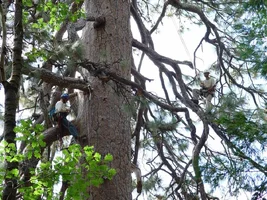 6873-Noah and Jerry.webp