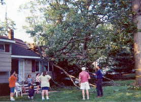 2950-storm2002-roofoak1.webp