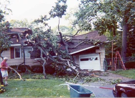 2953-storm2002-roofoak3.webp