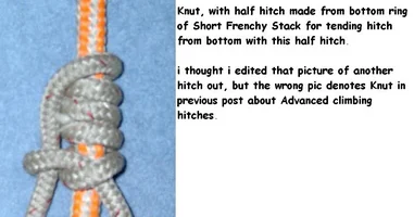 7354-Knut Correction.webp