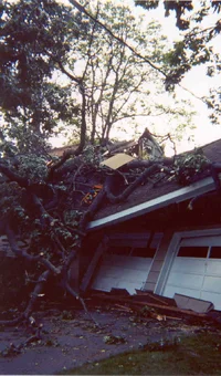 2954-storm2002-roofoak4.webp