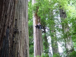 8444-Jesse posing for the shot.webp