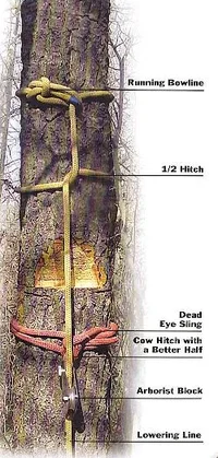 8502-half hitch.webp