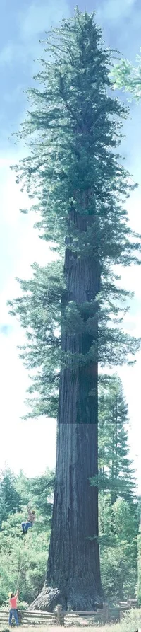 3009-Standish Pano.webp