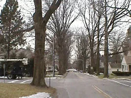 8633-plainsoaks 001.webp