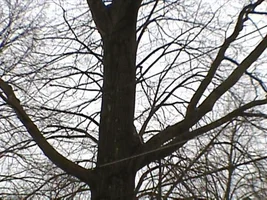 8634-plainsoaks 003.webp