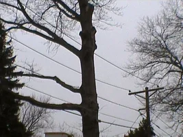 8635-plainsoaks 004.webp