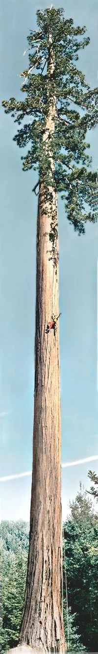 3011-Henry Pano.webp