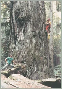 3013-Jenk and Giant.webp