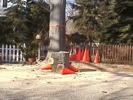 8679-plainsoaks 029.webp