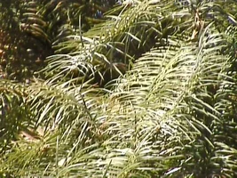 8684-plainsoaks 057.webp