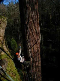 8861-Resize of Prince fir Russell fir 057.webp