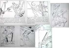 8938-The Human Conductor.webp