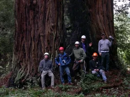 8950-reynolds group, resize jpg.webp