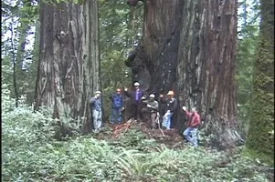 8961-north side.webp