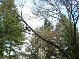 8995-Liz Ellsworrth Job 014w.webp