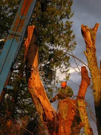 9136-ScottZ 035w.webp