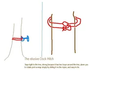 9281-Clock Hitch-Maas.webp