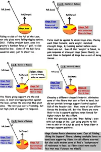 9326-Dont Pay for non-supportering fibers.webp