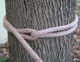 9385-DSCF0551 (2).webp